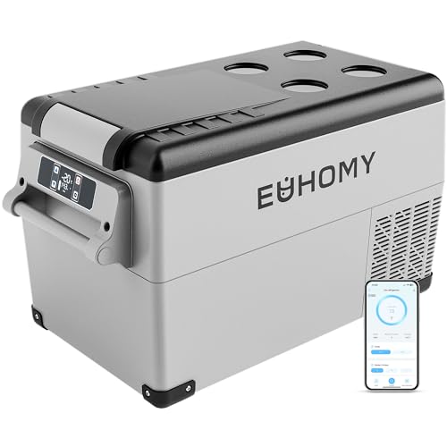 Dual-Zone 12V Portable Car Refrigerator