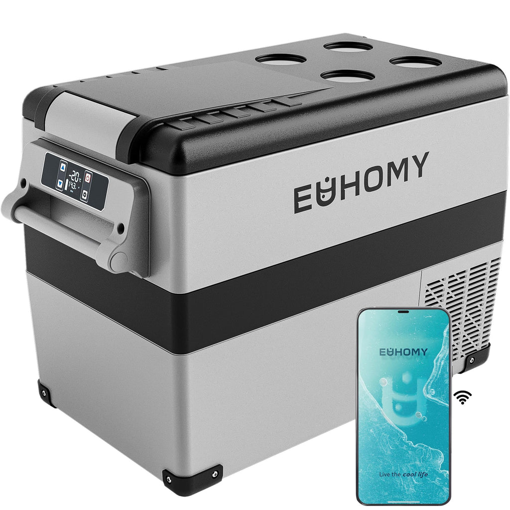 Dual-Zone 12V Portable Car Refrigerator